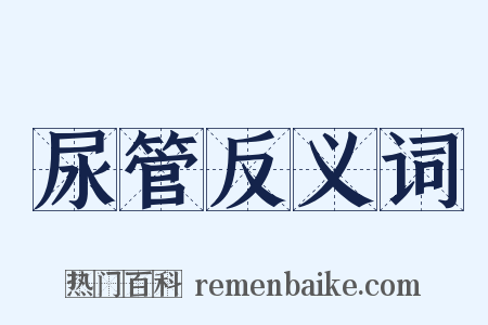 尿管反义词是什么意思的图片